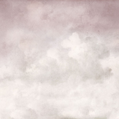 Vintage Clouds, Pink, Rebel Walls