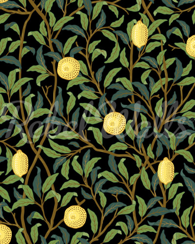 Tapet cu motive botanice, Lemon Garden, Midnight, cu copaci cu lămâi suculente pe un fundal închis.
