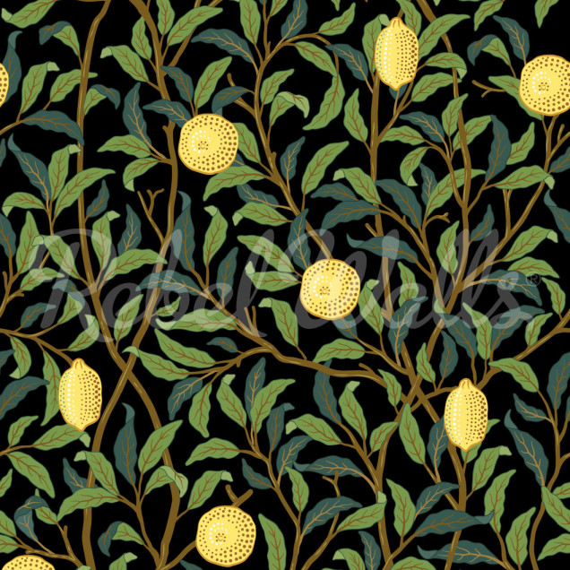 Tapet cu motive botanice, Lemon Garden, Midnight, cu copaci cu lămâi suculente pe un fundal închis.
