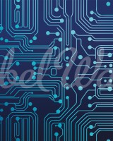 Circuit Board, Blue, Rebel Walls