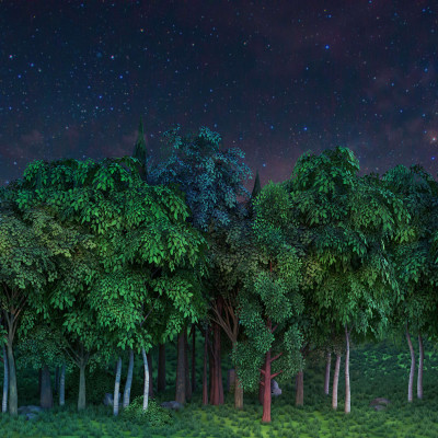 Wallpaper cu o pădure sub un cer înstelat, în culori deschise și luminoase.