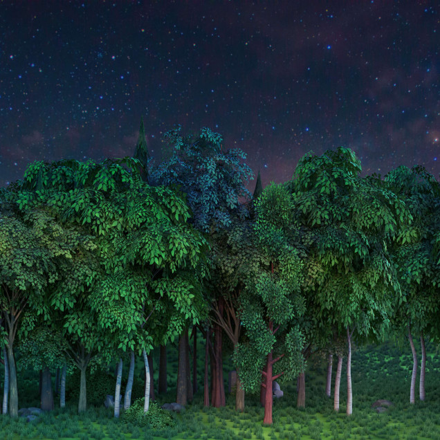 Wallpaper cu o pădure sub un cer înstelat, în culori deschise și luminoase.