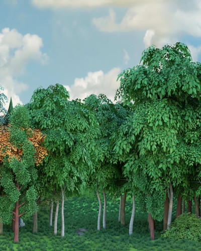 Tapet Gaming Woods, Fall, cu design realist de padure cu frunze verzi si aurii si cer senin.