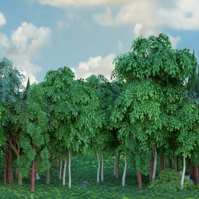 Tapet cu o pădure verde și cer senin