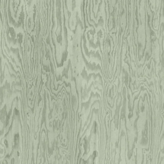 Tapet cu textură de lemn verde în living modern