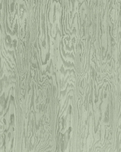 Tapet cu textură de lemn verde în living modern