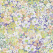 Flowerhaze, Soft, Rebel Walls