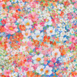 Flowerhaze, Color, Rebel Walls