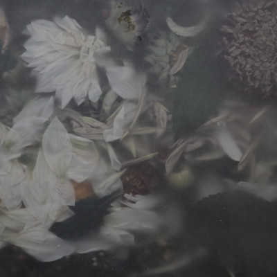 Fototapet floral vintage in dormitor