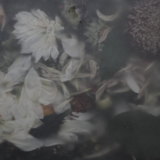 Fototapet floral vintage in dormitor