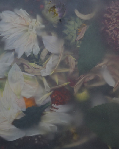 Fototapet cu design floral într-un living modern