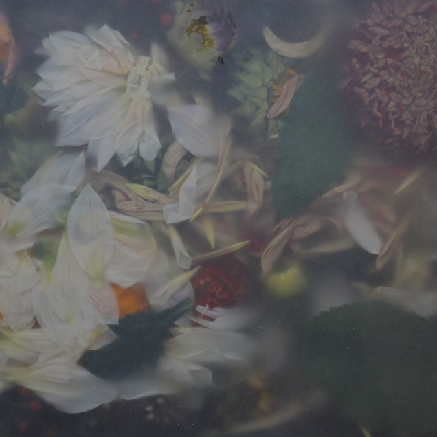 Fototapet cu design floral într-un living modern