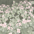Parkflowers, Pink, Rebel Walls