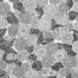 Sol Rosa, Black & White, Rebel Walls