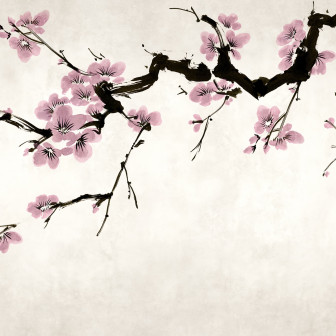 Fototapet cu ramuri de cireș înflorite roz
