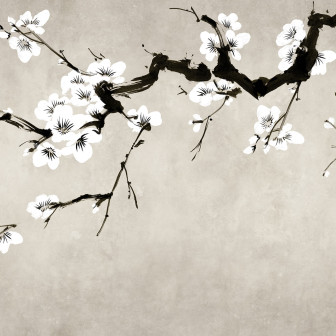 Fototapet floral cu ramuri de cireș înflorite, Blush of Spring, White