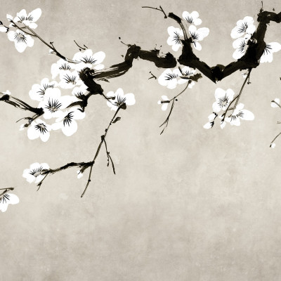 Fototapet floral cu ramuri de cireș înflorite, Blush of Spring, White