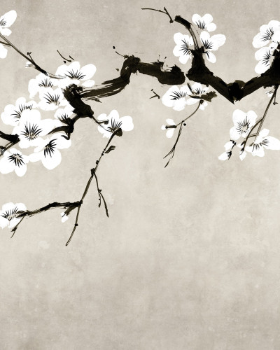 Fototapet floral cu ramuri de cireș înflorite, Blush of Spring, White
