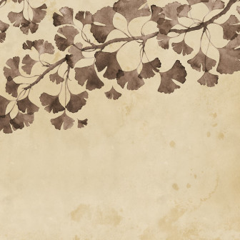 Tapet cu frunze maro Maidenhair Tree