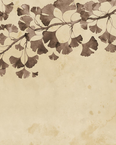 Tapet cu frunze maro Maidenhair Tree
