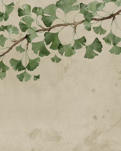 Tapet decorativ cu frunze verzi de ginkgo biloba