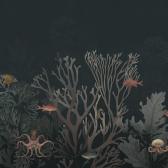 Coral World, Night, Rebel Walls