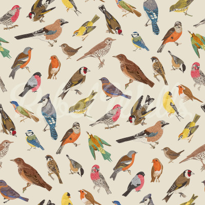 Tapet cu design de păsări multicolore
