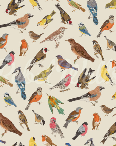 Tapet cu design de păsări multicolore