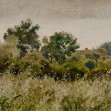 Oatfields, Summer, Rebel Walls