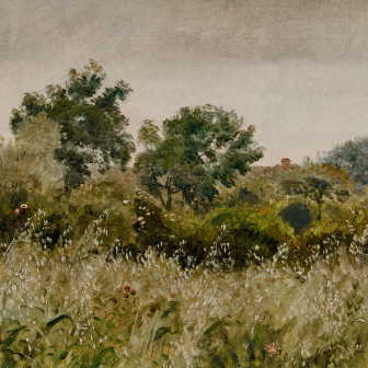 Oatfields, Summer, Rebel Walls