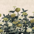 Vintage Meadow, Yellow, Rebel Walls