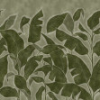 Tropical Breeze, Green, Rebel Walls