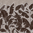 Tropical Breeze, Brown, Rebel Walls