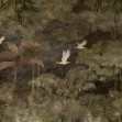 Exotic Eden, Night, Rebel Walls