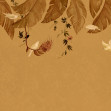 Birds in the Trees, Orange, Rebel Walls