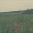 Poppy Landscape, Dawn, Rebel Walls