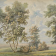 Tree on the Hill, Vintage, Rebel Walls