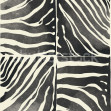 Savanna Stripe, Black & White, Rebel Walls