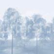 Misty Grove, Blue, Rebel Walls