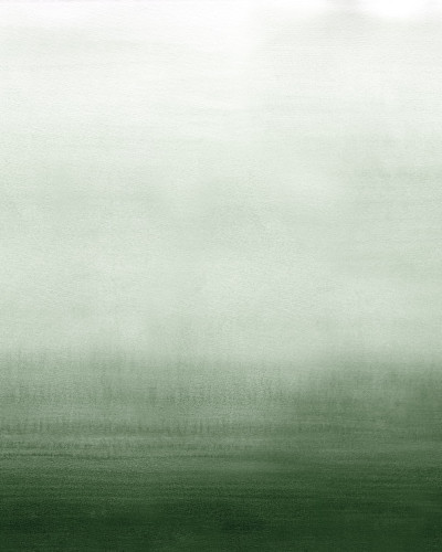 Tapet cu gradient verde într-un living modern