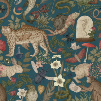 Animal Specials, Petrol, Rebel Walls