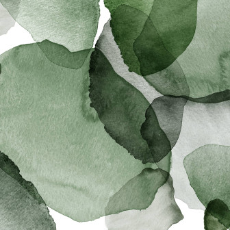 Shadow Petals, Green, Rebel Walls