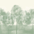 Misty Grove, Green, Rebel Walls