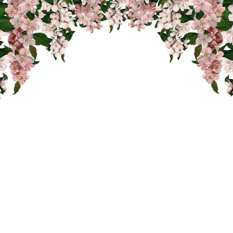 Tapet floral roz cu ghirlande de flori în living