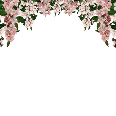 Tapet floral roz cu ghirlande de flori în living