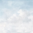 Vintage Clouds, Cloud Dancer, Rebel Walls