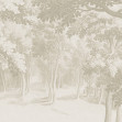 Forest Engraving, Beige, Rebel Walls