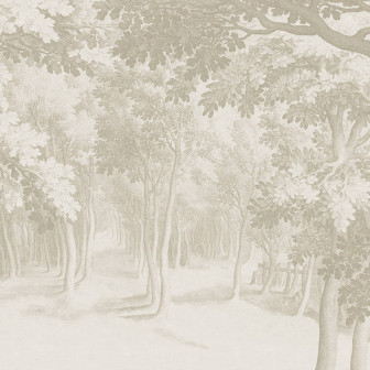 Forest Engraving, Beige, Rebel Walls