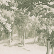Forest Engraving, Green, Rebel Walls