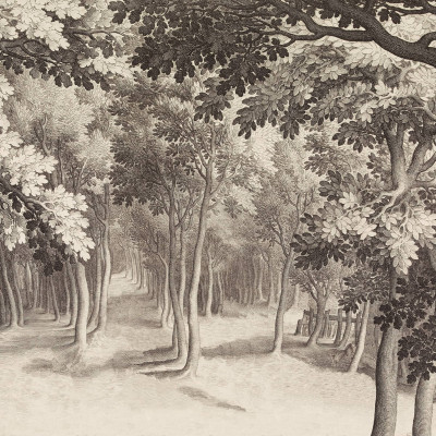 Fototapet cu un design detaliat de pădure, în stil gravură vintage, acoperind peretele unei sufragerii moderne.